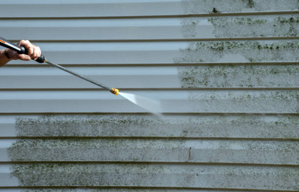 Best Roof Cleaning and Mildew Removal in West Hills, NY